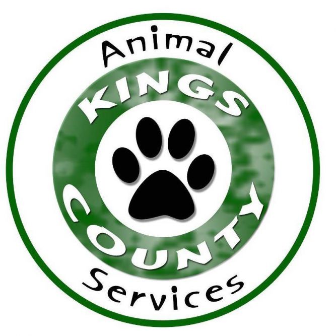 Kings County Animal Services