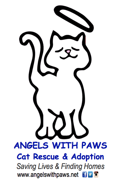 Angels With Paws Cat Adoption and Shelter