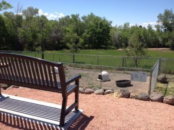 View of our play yard