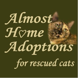 Almost Home Adoptions for rescued cats