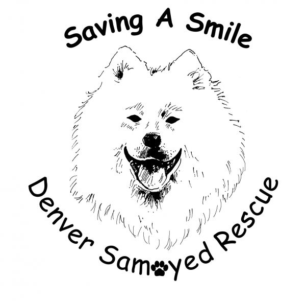 Denver Samoyed Rescue