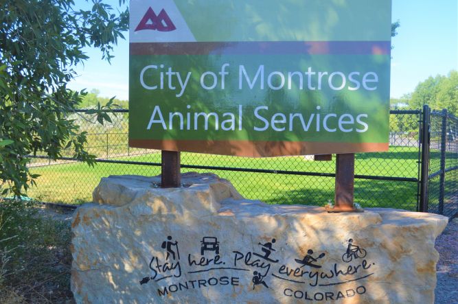 City of Montrose Animal Services