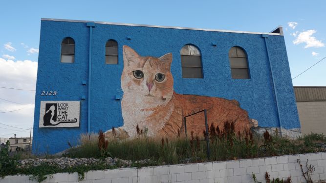 lookwhatthecatbroughtin.org