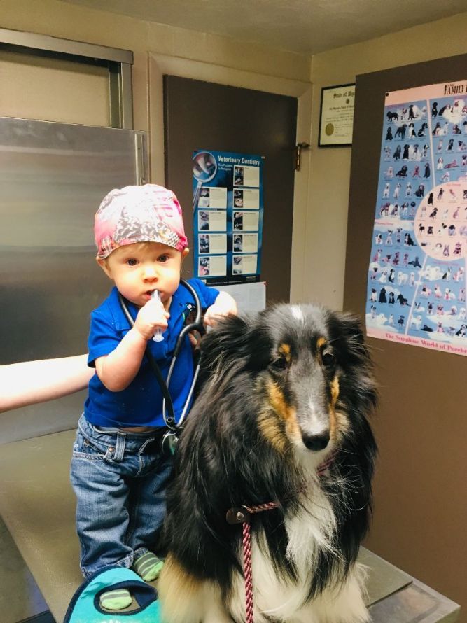 Craig Animal Shelter