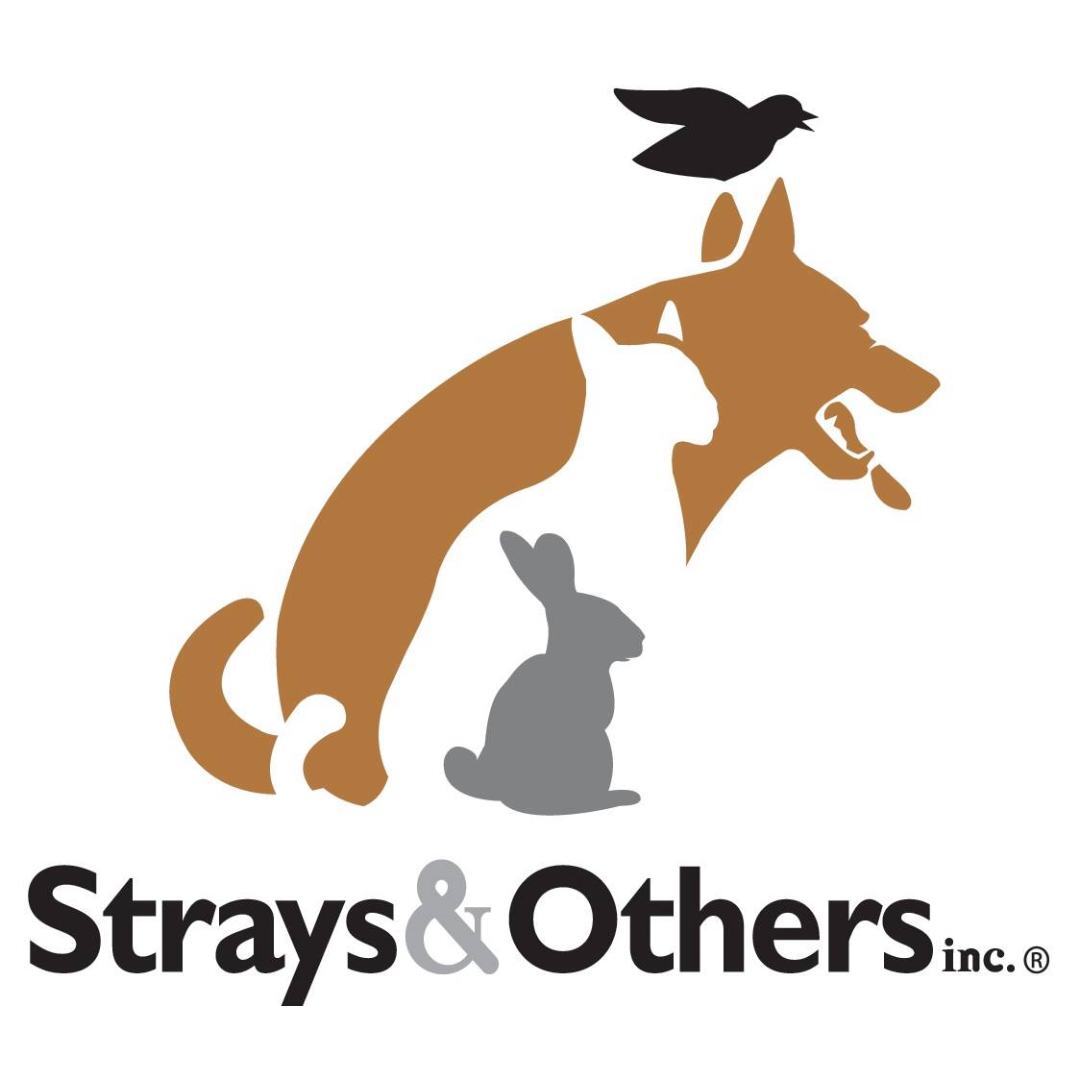 Pets for Adoption at STRAYS AND OTHERS, in New Canaan, CT | Petfinder