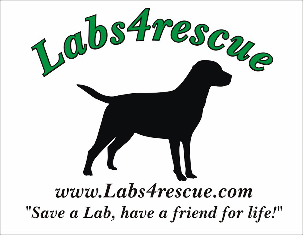 Labs4rescue