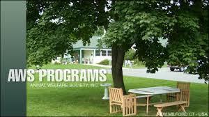 Animal Welfare Society, Inc.