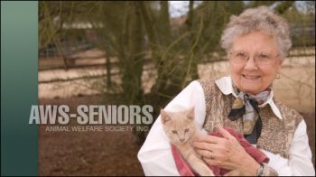 Senior Cats for Senior Citizens