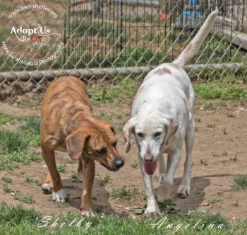 Besties Shelby and Angelina