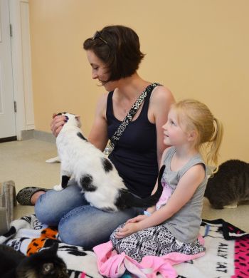 Open Adoption Events are Saturdays from 11am-3pm.
