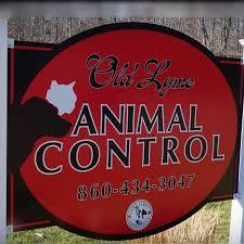 Old Lyme Animal Control