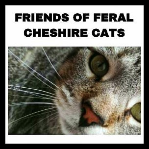 Friends of Feral Cheshire Cats