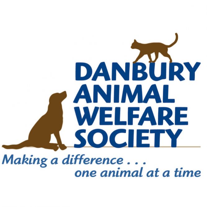 Pets for Adoption at Danbury Animal Welfare Society Inc. DAWS, in