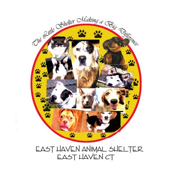 East Haven Animal Shelter