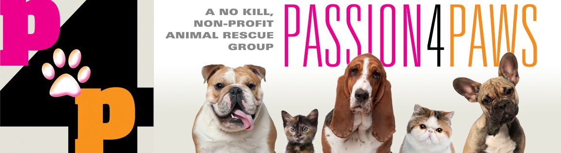 Passion 4 Paws