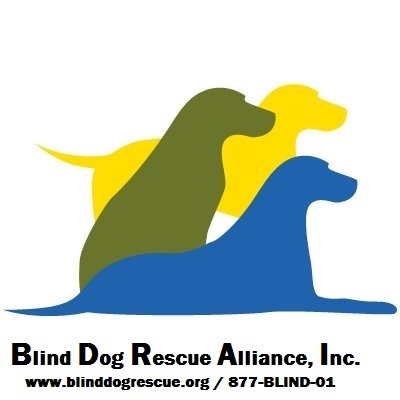 Blind Dog Rescue Alliance - CT