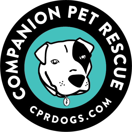 Companion store pet dog