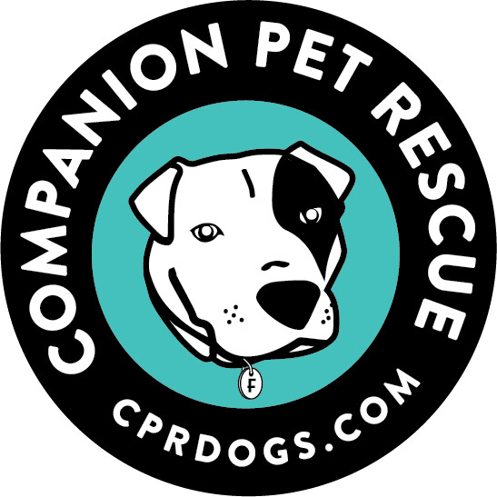 Companion Pet Rescue - New England