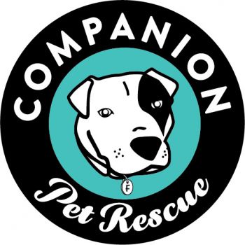 companion pet rescue reviews