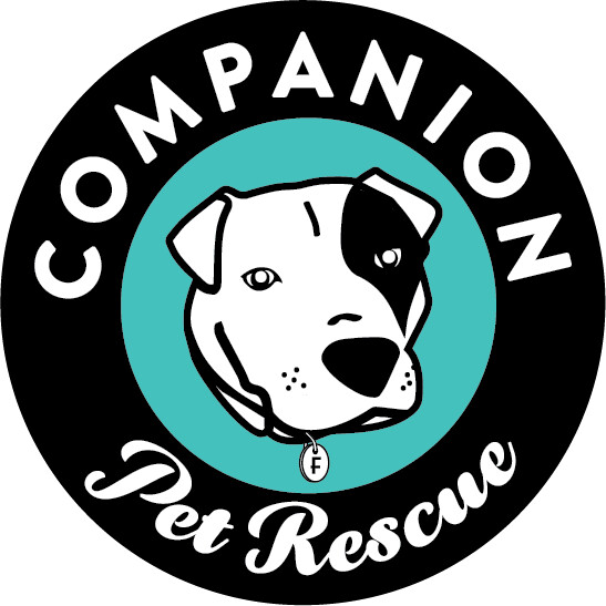 Companion Pet Rescue - New England