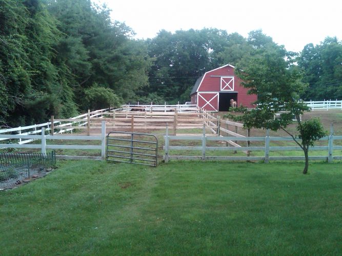 All The Kings Horses Equine Rescue Inc.