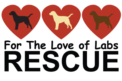 For the Love of Labs Rescue