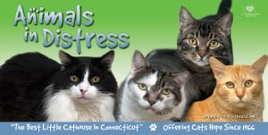 Animals in Distress