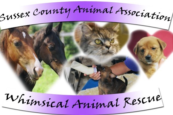 Whimsical Animal Rescue Inc. of Sussex County Animal Association