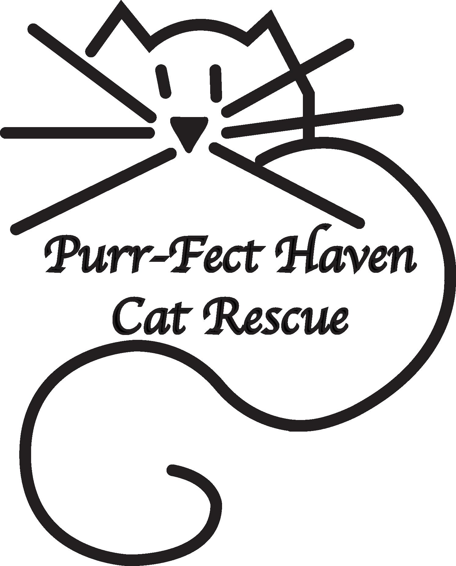 Adoption at Purrfect Haven Cat Rescue 