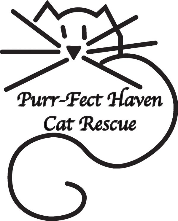 Purrfect Haven Cat Rescue