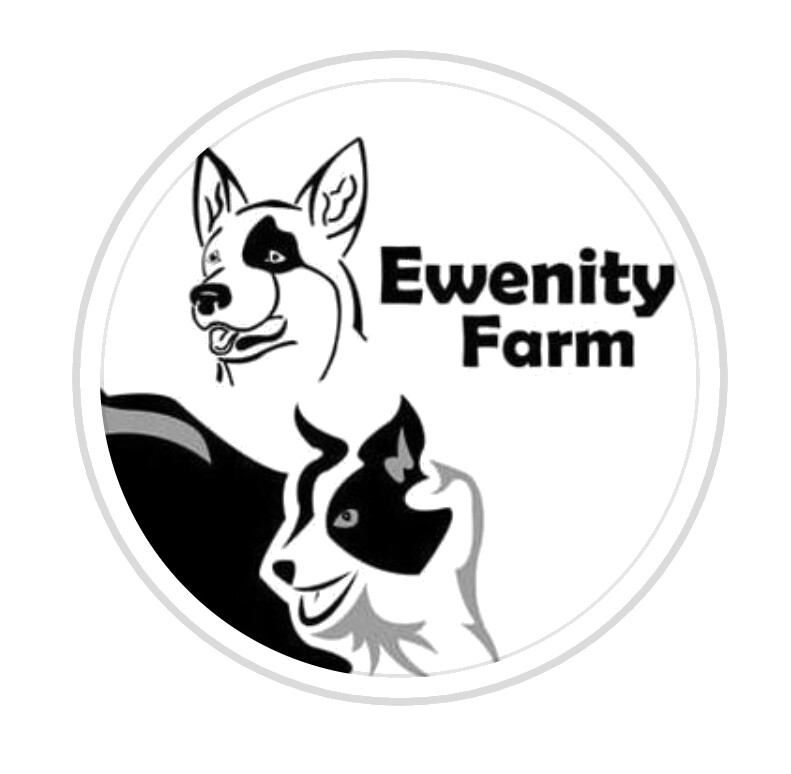 Ewenity Farm, A Herding Dog Haven, Inc.