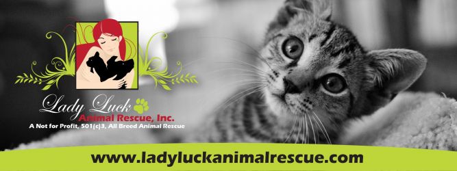 Lady Luck Animal Rescue