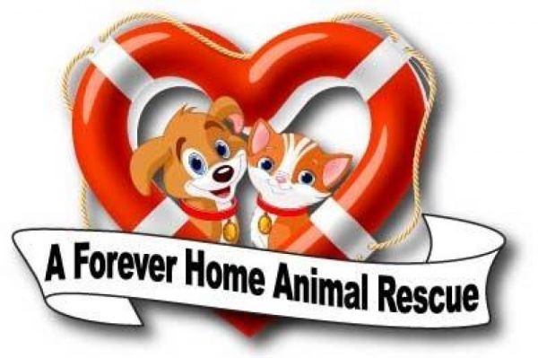 A Forever Home Animal Rescue, Inc