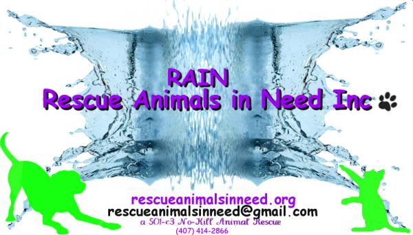 RAIN (Rescue Animals in Need Inc.)