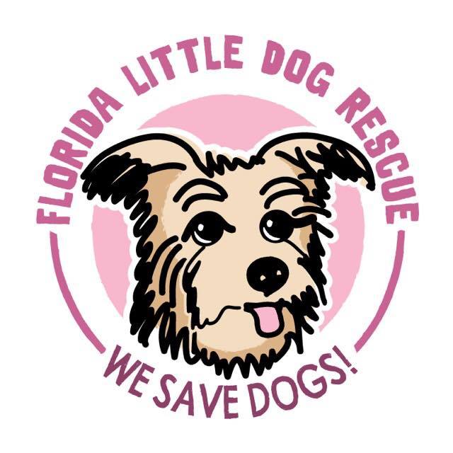 little paws rescue dogs