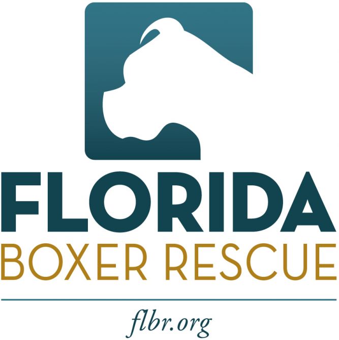 Florida Boxer Rescue Inc.