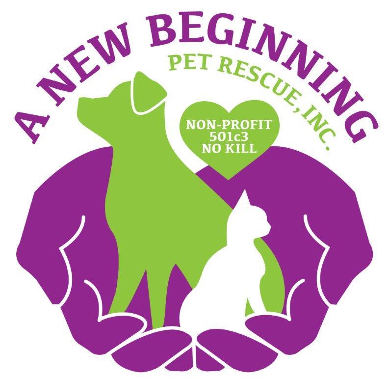 Pets For Adoption At A New Beginning Pet Rescue Inc In Orlando Fl Petfinder