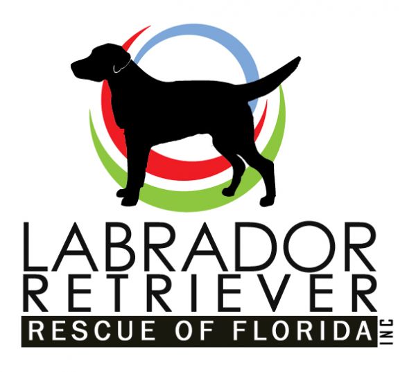 Labrador Retriever Rescue of Florida (LRRoF), Inc.