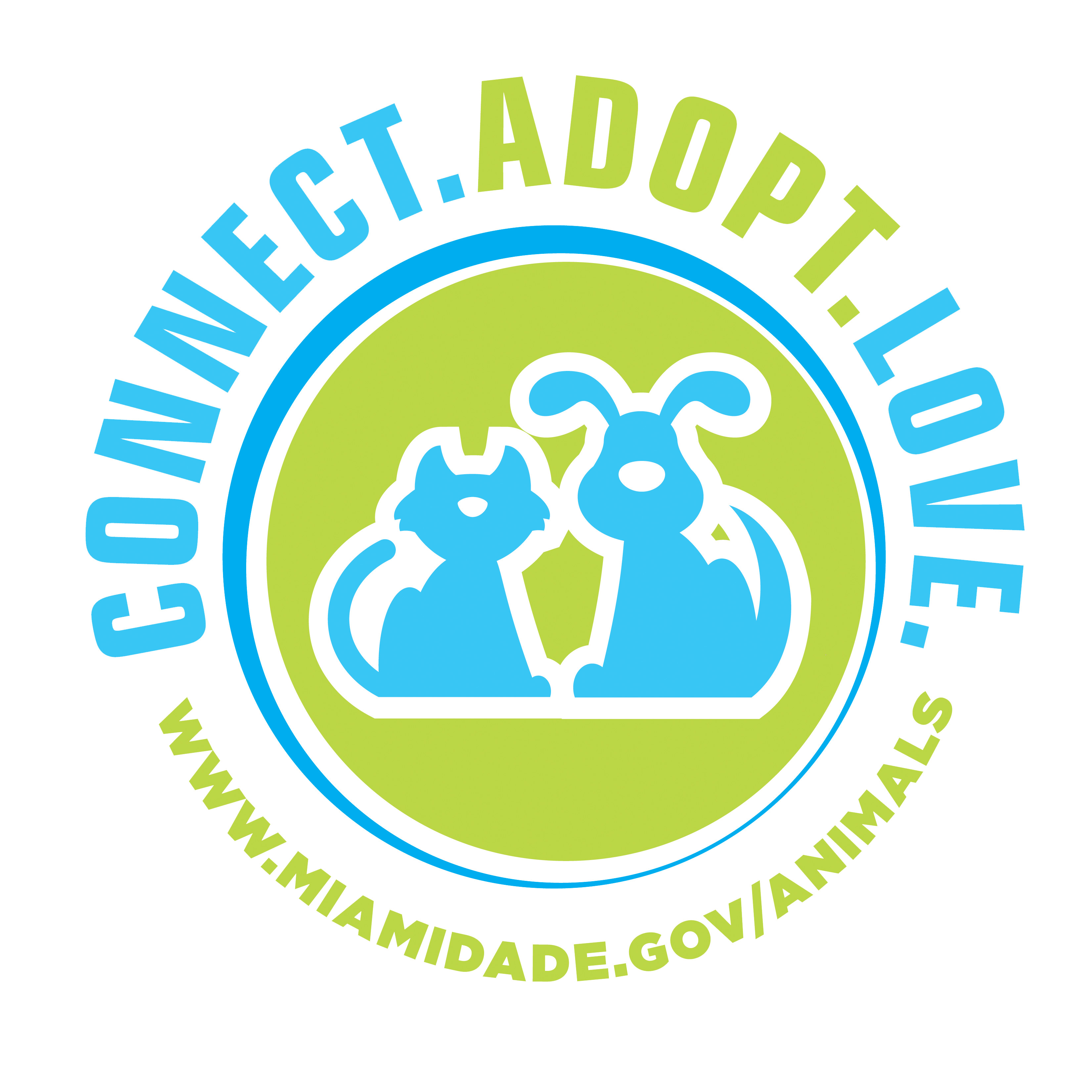 Pets For Adoption At Miami Dade Animal Services In Miami Fl