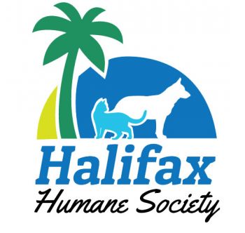 Halifax humane society inc pv jobs in cognizant