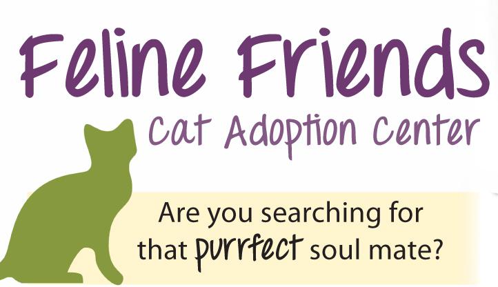 Feline 2024 friends rescue