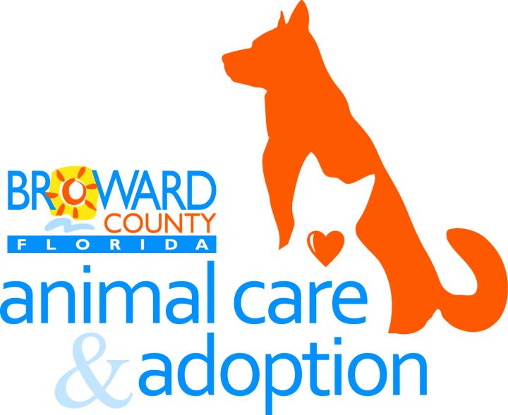 Pets For Adoption At Broward County Animal Care And Adoption In Fort Lauderdale Fl Petfinder