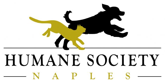 Patty Baker Humane Society Naples