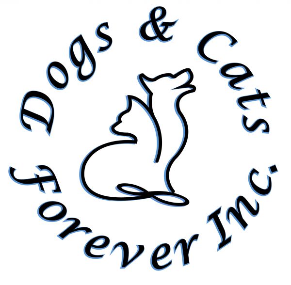 Dogs and Cats Forever, Inc.
