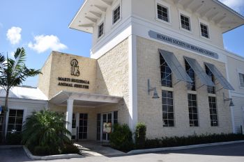 Our shelter, located at 2070 Griffin Road.