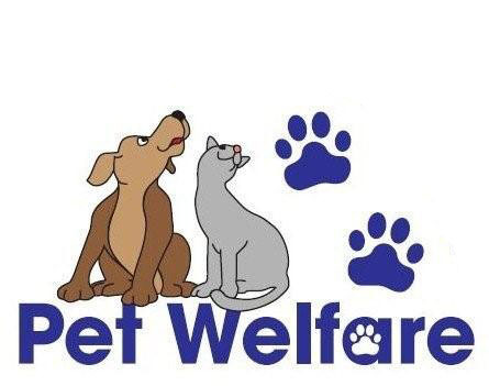 Pet Welfare