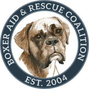 Boxer Aid & Rescue Coalition, Inc.