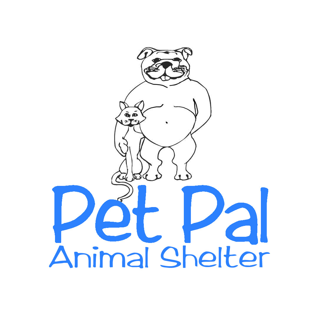 Adoption at Pet Pal Animal Shelter 