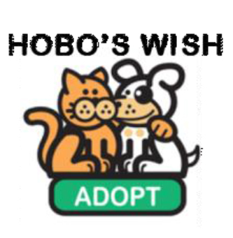 Hobo's Wish