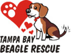 Tampa Bay Beagle Rescue Inc